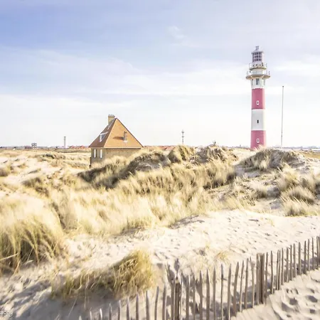 In Near The Apartament *